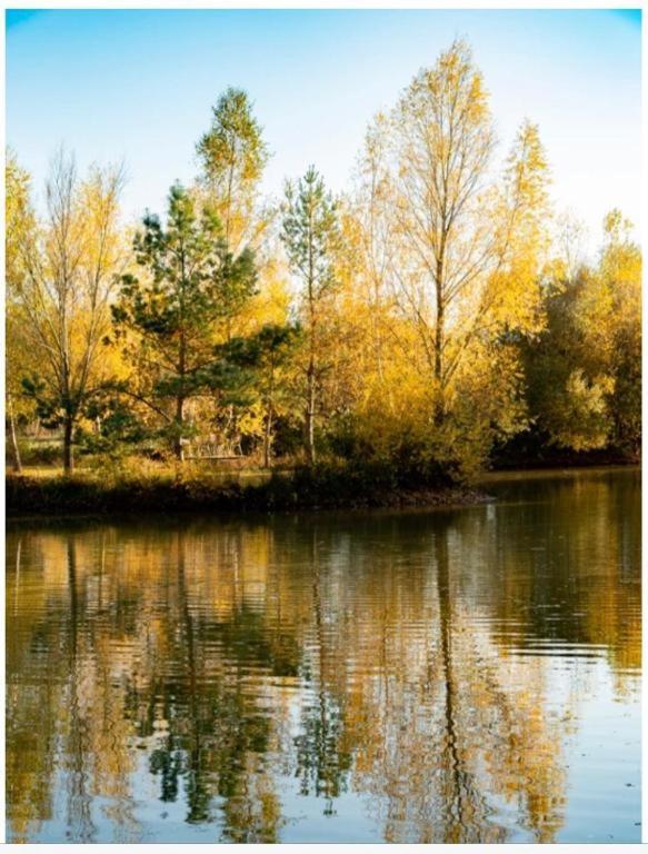 Les Chatelliers Bouzy-la-Foret Exterior foto